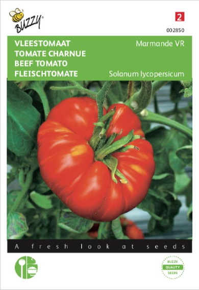 Tomate Marmande (Solanum lycopersicum) 750 Samen BU